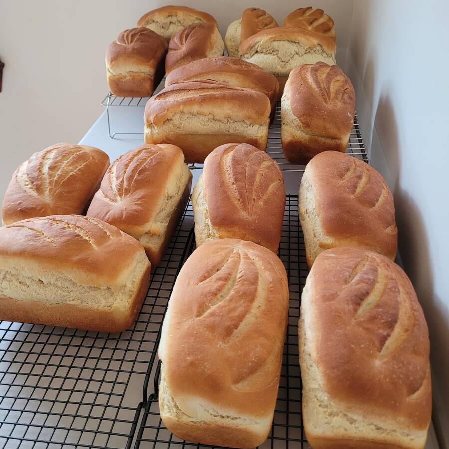 <p>CONTRIBUTED PHOTO</p><p>Some delicious fresh bread, prepared by David Jarvis, headed to the Lunenburg food bank.</p>