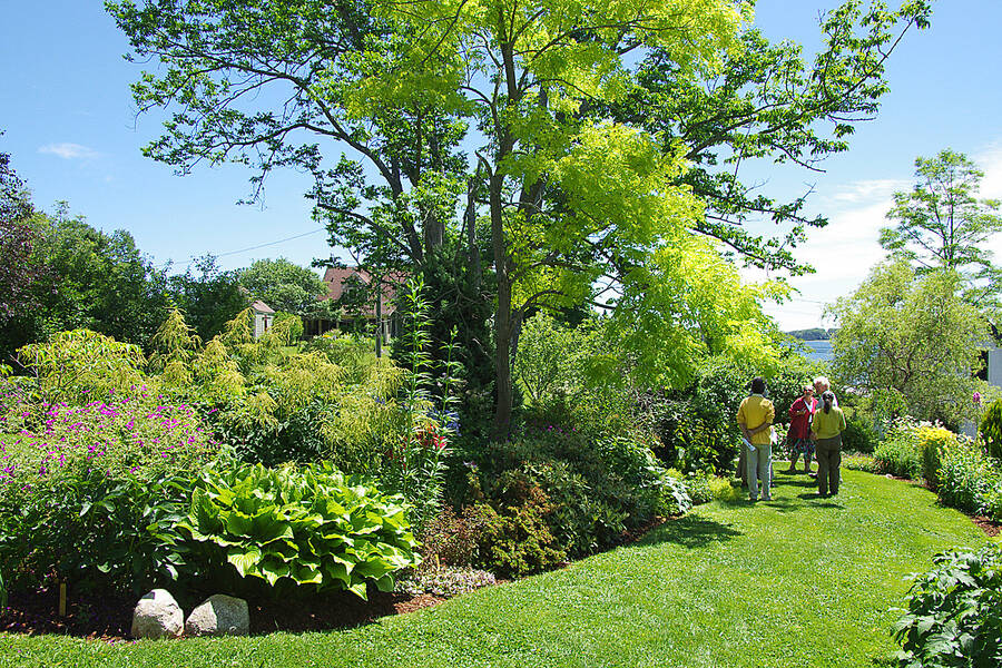 <p>CONTRIBUTED PHOTO</p><p>One of the three beautiful garden areas that will be available for people to walk through at this year&#8217;s home and garden tour in Mahone Bay that will be held June 10-11.</p>